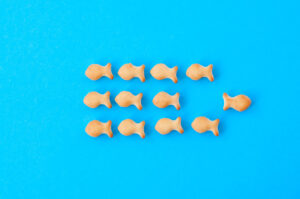 The Psychology of Conformity and Individuality.