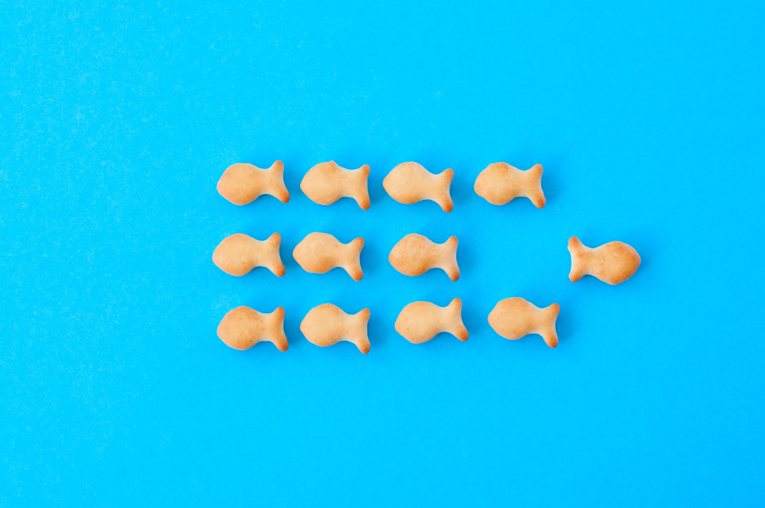 The Psychology of Conformity and Individuality.