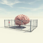 How Our Brains Construct Our Perception of Reality
