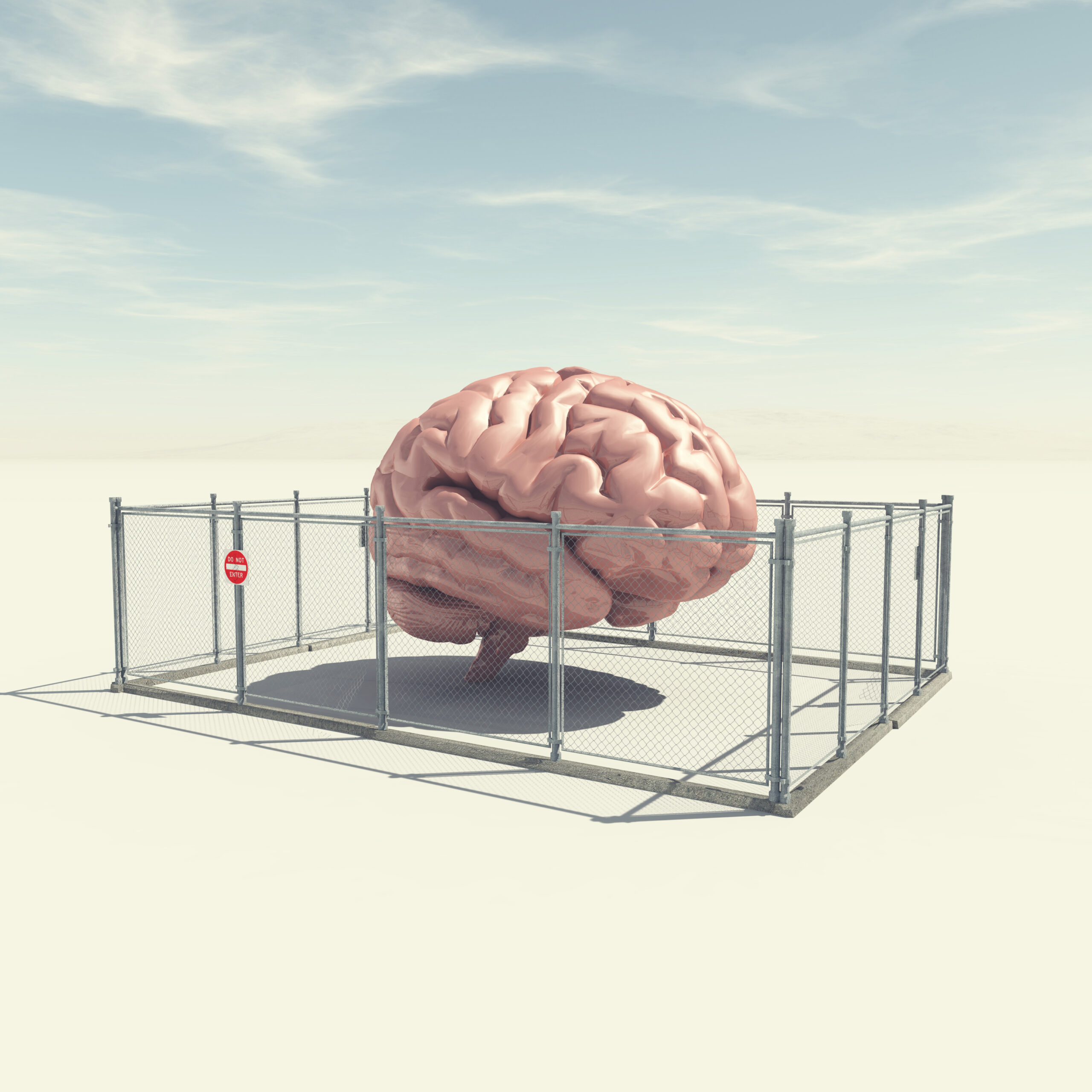 How Our Brains Construct Our Perception of Reality