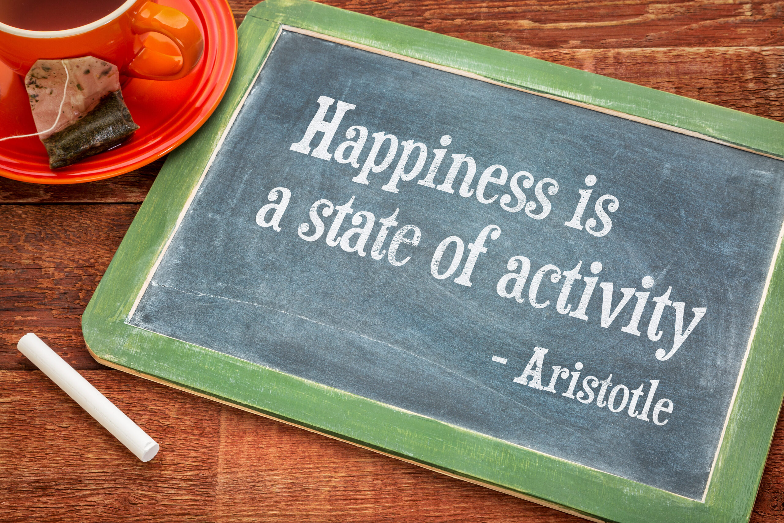The Science of Happiness: What Truly Contributes to Well-Being